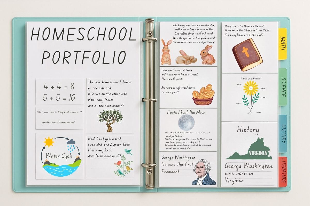 Portfolio samples spread on a table